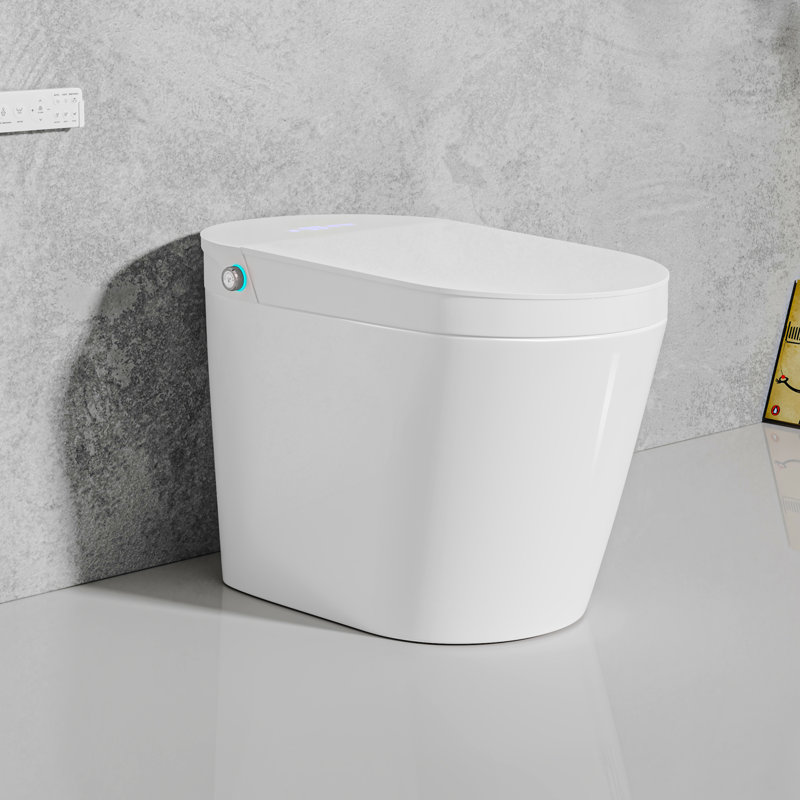 Elongated Smart Bidet Toilet with Heated Seat, Bidet Wash, Warm Air Dryer, Touchless Flush, Pre-Wetting, Soft-Close Lid & Night Light (Remote Included)