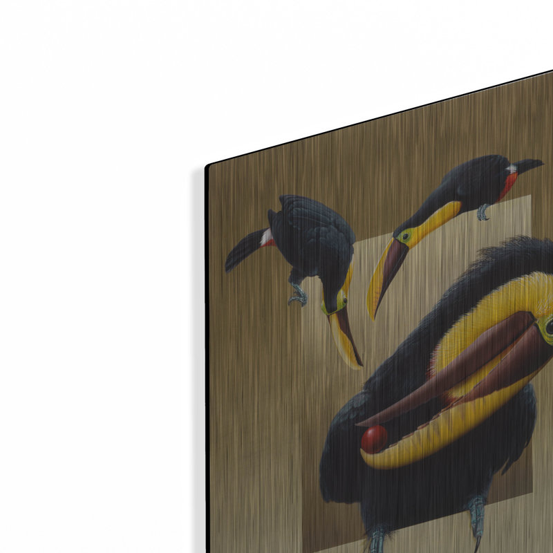 Luxe Toucans «Chestnut-Mandibled Toucans» par Har, H 16 po x l 12 po