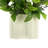 Laurel Leaf and Berry Arrangement