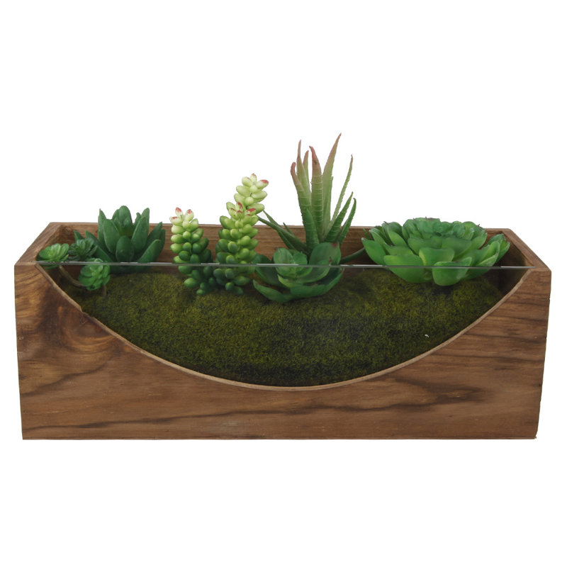 6.5'' Faux Succulent Plant in Wood Planter