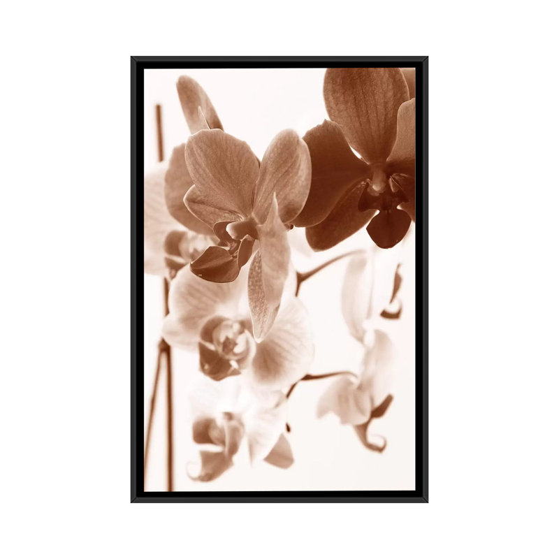 « rêvey orchidéess i », impression sur toile, H 26 po x l 18 po x P 1,5 po, Toile avec cadre noir, Pas de tapis