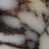 Calacatta Viola Marble is unavailable