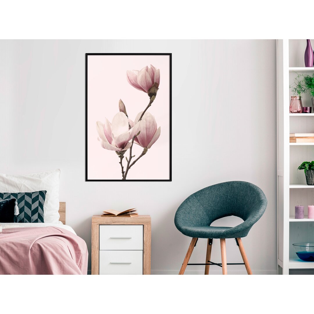 Gerahmter Grafikdruck Blooming Magnolias III