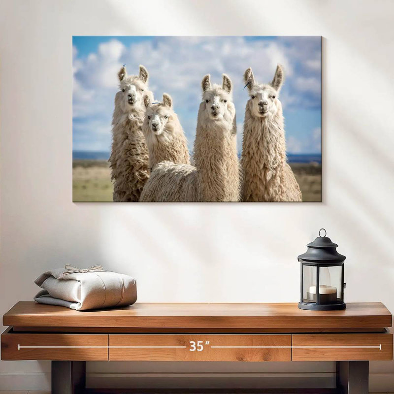 Fluffy White Llamas, 16" H x 24" W