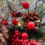 CEDAR BERRY - 26 Inch Wreath with 50 8 Function Lights