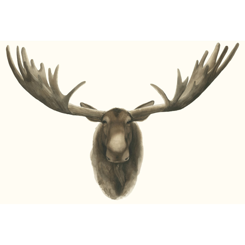 Moose Bust - Wrapped Canvas Print, 20cm H x 30cm W