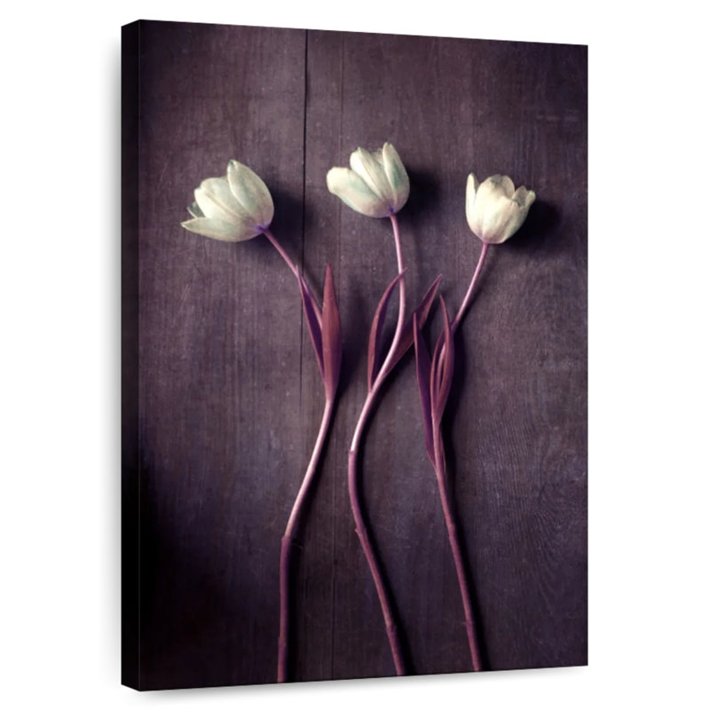 Harnek Tulip Dance, 39" H x 26" W