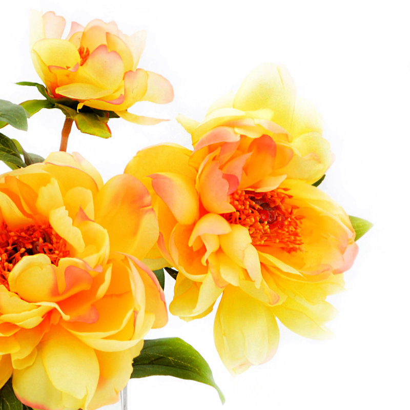 Arrangement floral pivoines dans un vase en verre