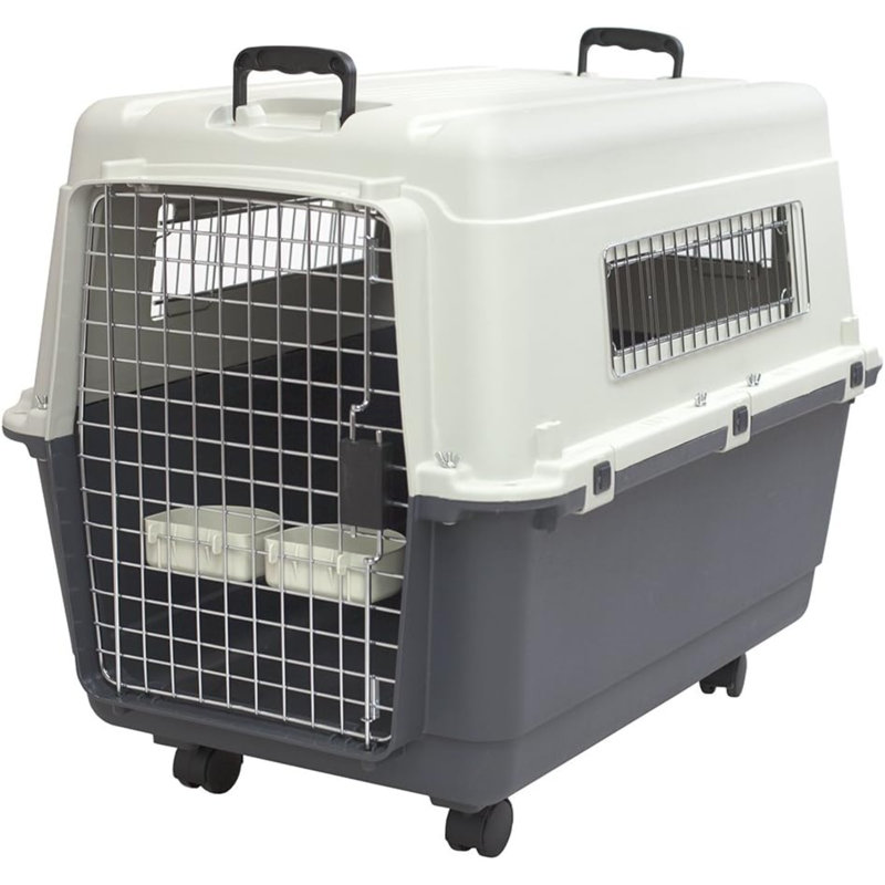 Caisse de voyage pour chien en plastique