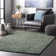 Abbiney Performance Shag Green Rug