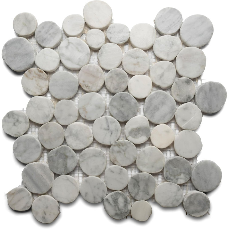Carreau de mosaïque rond Super White Moon Stone Penny - trié à la main pour la salle de bain