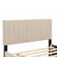 Lit plateforme double avec lit gigogne-1796516208