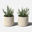 Petit pot à fleurs Veradek Mod Series-126194085-126194088-126194090