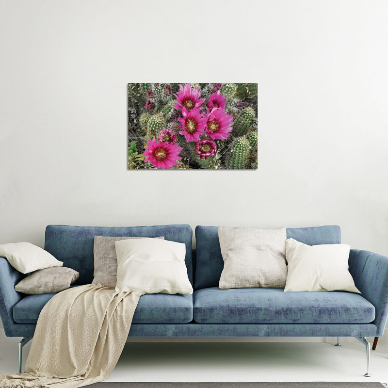 Hérisson cactus en fleurs, Arizona par Tim Fitzharris - reproduction de photo
