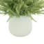 Arrangement Astilbe-163926358