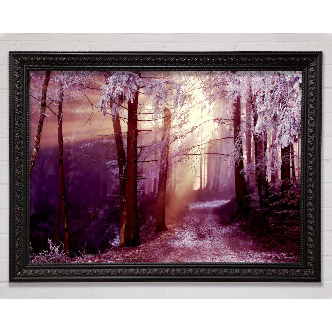 Winter Woodland Sunbeam - Einzelner Bilderrahmen Kunstdrucke