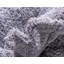Tapis rouge sang Baynes-20250266-130905028