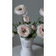 Ranunculus Faux Floral-1373698712