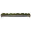Canal Moss Centerpiece in Planter