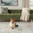 Laleia Washable Oriental Indoor Rug-1815731664