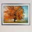 « la passion de l’automne », reproduction de photo-28042158-28042440-33925504