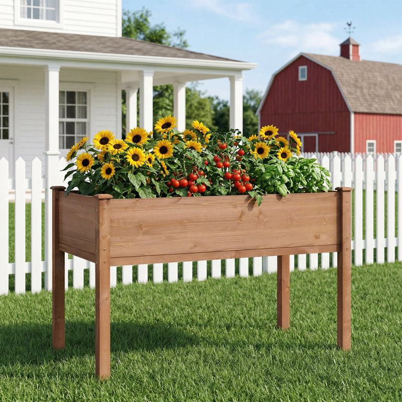 Lit de jardin surélevé surélevé en bois avec pieds pour légumes, herbes et fleurs d'extérieur | Idée de cadeau