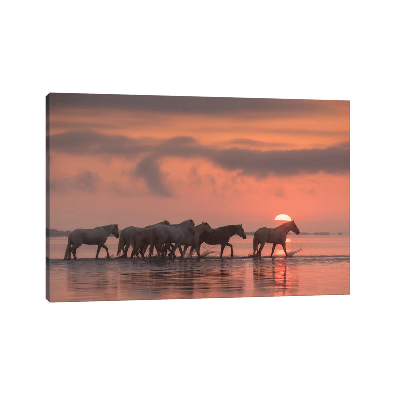 White Angels Of Camargue XI by Daniel Kordan - Wrapped Canvas Print, 20.32 cm H x 30.48 cm W