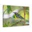 No Frame Print on Canvas-2063562206