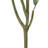 Artificial Eucalyptus Tree in Pot-324843917