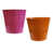 Rose / Orange