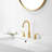 Widespread 2-handle Bathroom Faucet with Drain Assembly-86794416