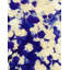 Passion divine. isaiah 59:17-impression sur toile-17653414-26088790