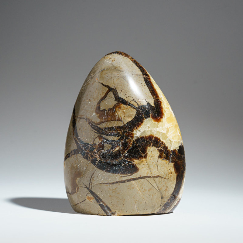 Polished Septarian Freeform from Madagascar (1.8 Lbs)