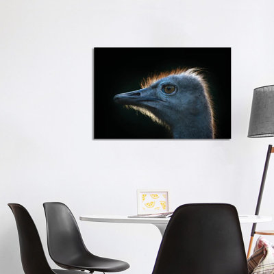 Ostrich by Andreas Stridsberg - Wrapped Canvas Print