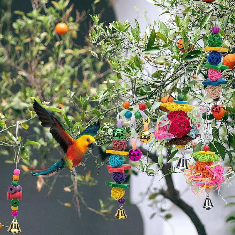 Cockatiel perruche, cage à cloche suspendue