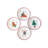 Assorted Holiday Plates - Tree, Car, Candy Cane, Presents (Set of 4)