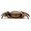 Boîte de crabe réaliste en polyrésine 9,5 x 6 x 3 po avec finition cuivre chaud