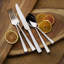 Essex 45-Piece 18/10 Stainless Steel Flatware Set, Service For 8