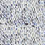 Jamboree Fabric-24030853