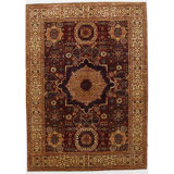 Aryana Wool Oriental Area Rug