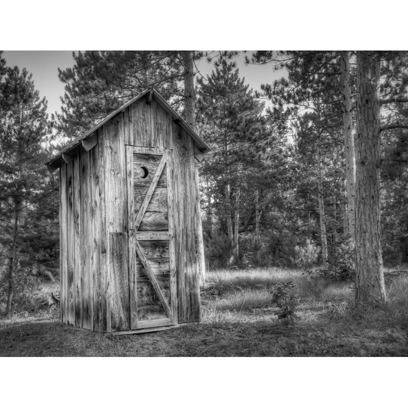 The Outhouse Print by Scott Norris, 25.2" H x 31.2" W x 0.88" D, Black Single Picture Framed Paper