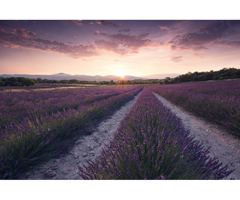 Wrapped Canvas Print, 60.96 cm H x 91.44 cm W