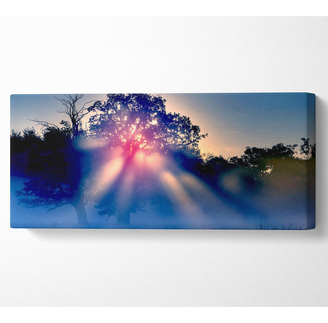 Sunset Blaze - Kunstdrucke auf Leinwand - Wrapped Canvas