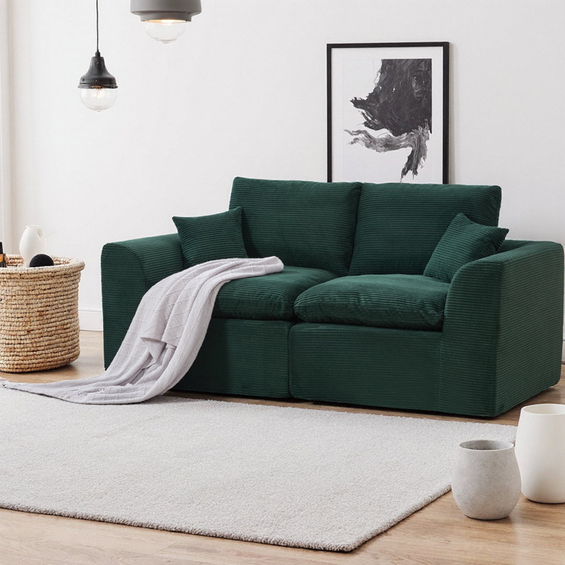Canapé modulaire modulaire à 2 places avec housses de coussin amovibles, canapé en velours côtelé doux sans assemblage, mobilier de salon moderne