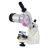 Professional Multi-Angle Adjustable Chainsaw Chain Sharpener Grinder, Gray