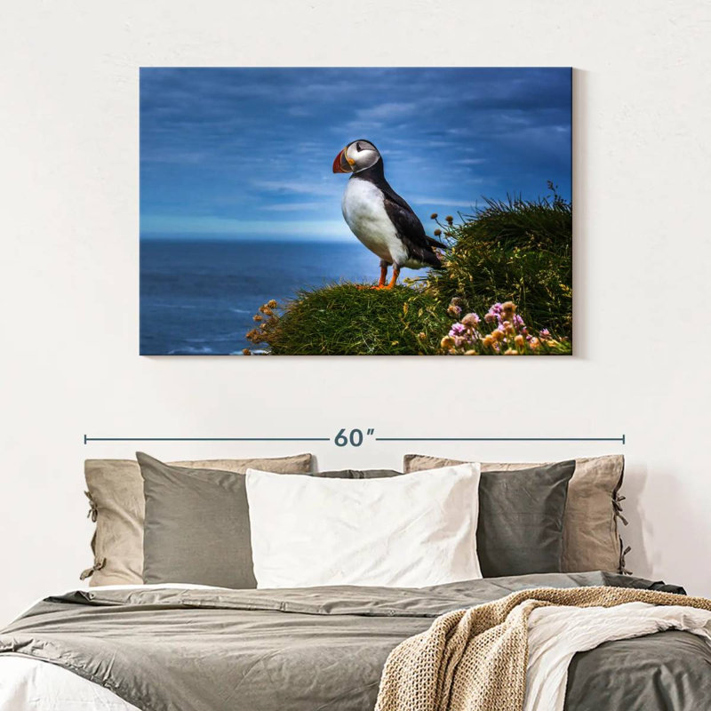 Crowle Latrabjarg Puffin Bird