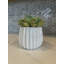 Pot en céramique de 4 po, plante décorative-100896418
