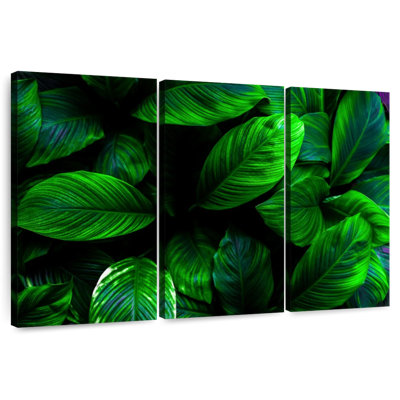 Harnek Green Plants