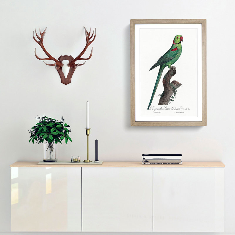 A Rose-Ringed Parakeet by F. Levaillant - Single Picture Frame Painting, Oak  Bordered Framed, 45cm H x 33cm W x 2cm D