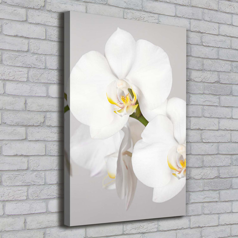 White Orchid - Wrapped Canvas Print